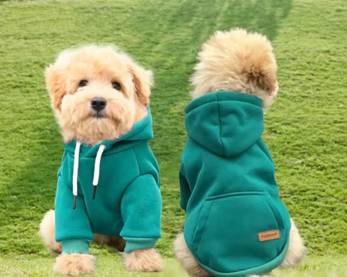Pet Hoodie